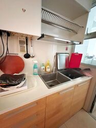 Clover By The Park (D20), Condominium #478916191